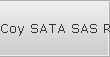 Coy SATA SAS Raid Recovery